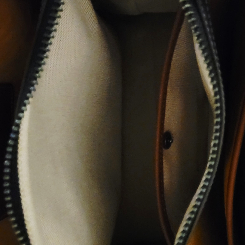 Coach Rogue - Picture 6 of 10